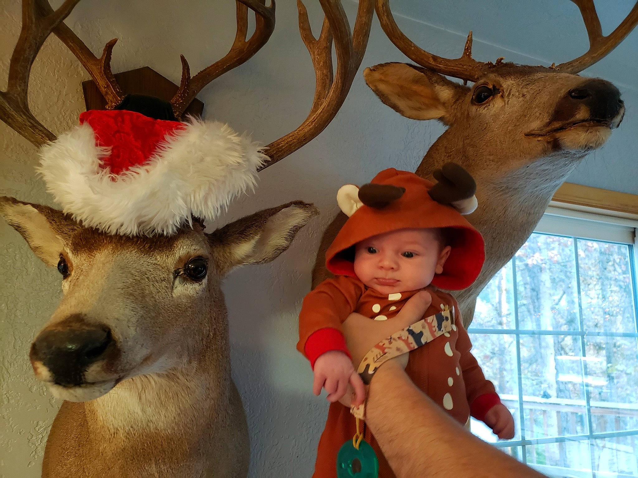 Henrik joined the competition — help win amazing prizes! antler, beauty, deer, elk, fawn, fun, happy, head, headgear, headwear, horn, mammal, natural_material, organ, organism, person, photograph, reindeer, smile, textile