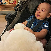 Timothy joined the competition — help win amazing prizes! baby, child, stroller, teddy_bear, stuffed_animal, toy, snacks, store, sitting, curious, face, portrait, infant, harness, blue_shirt, shopping, indoor, shelves, fluffy, retail