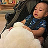 baby, child, stroller, teddy_bear, stuffed_animal, toy, snacks, store, sitting, curious, face, portrait, infant, harness, blue_shirt, shopping, indoor, shelves, fluffy, retail
