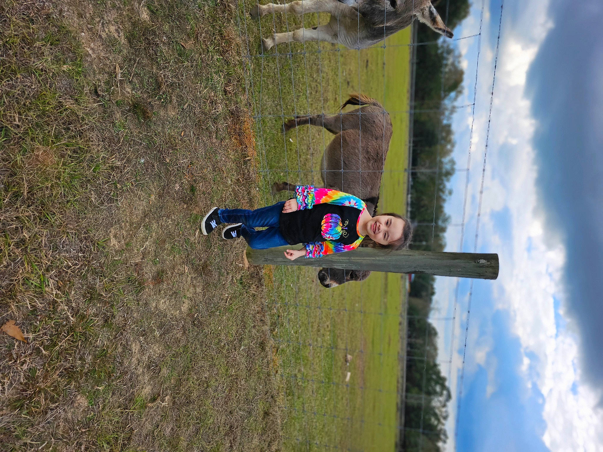 Violet joined the competition — help win amazing prizes! adventure, cloud, extreme_sport, fun, grass, hat, joy, landscape, leisure, person, plant, recreation, sky, slope, soil, toddler, tree, wood
