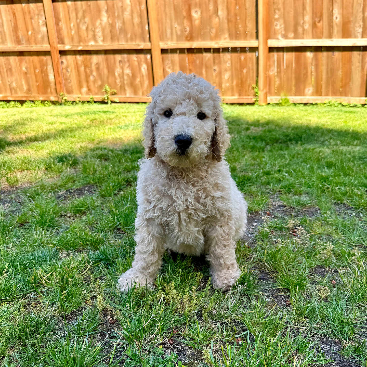 Caspian
