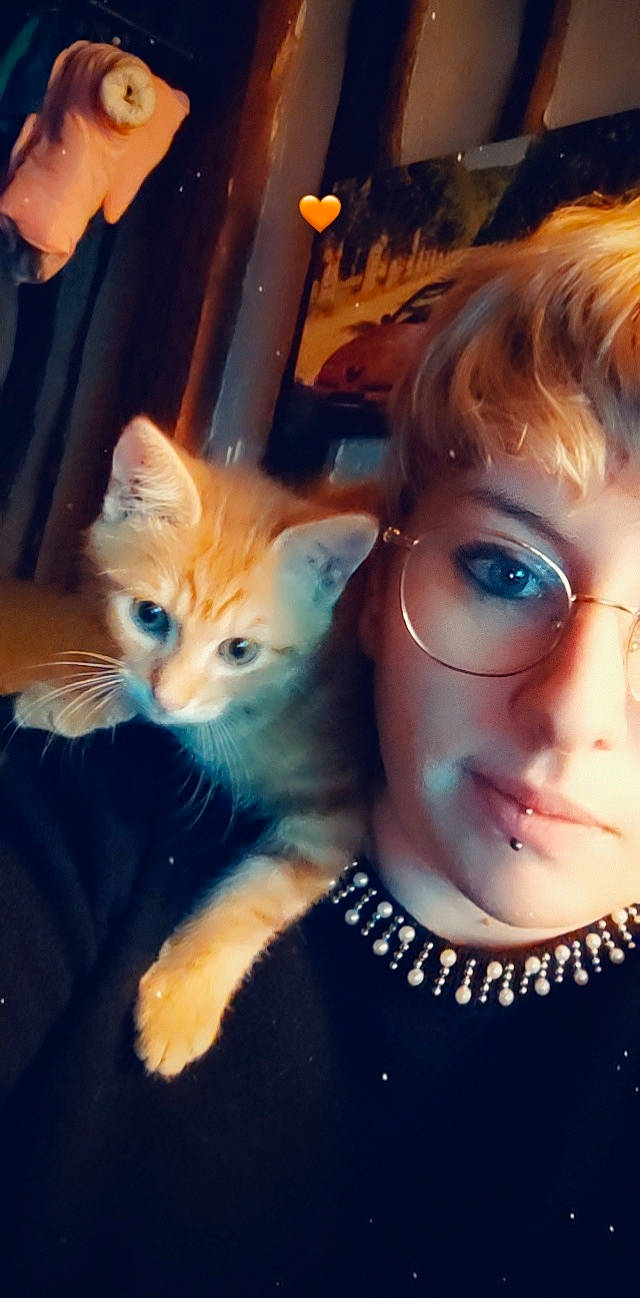 Simba participe au concours pour gagner de l'argent avec cette photo : carnivore, cat, electric_blue, eye, eyebrow, eyelash, eyewear, fawn, felidae, gesture, glasses, happy, iris, jaw, mammal, small_to_medium_sized_cats, sunglasses, toy, vision_care, whiskers