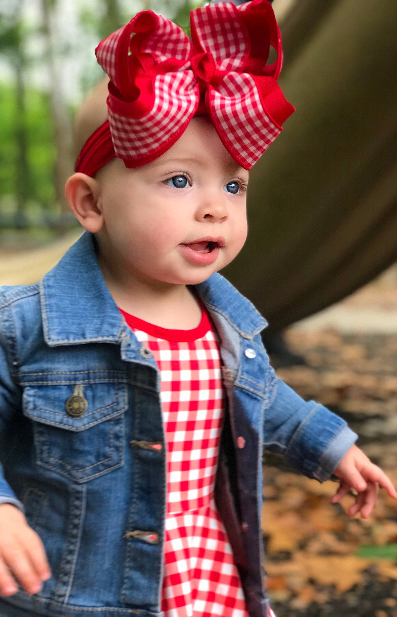 Loralei is registered to the contest to win money with this photo: baby, beauty, child, child_model, clothing, daughter, design, ear, family, fashion_accessory, happy, headgear, pattern, people, person, plaid, plant, red, skin, smile