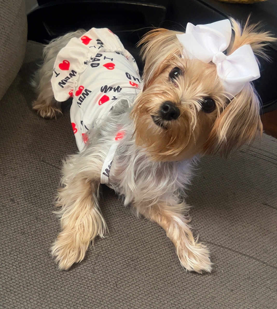 Lola