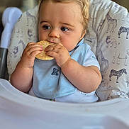 Louie is registered to the contest to win money with this photo: baby, child, cookie, high_chair, blue_bib, animal_print, toddler, eating, food, cute, indoor, portrait, infant, clothing, hands, face, hair, seat, snack, focus