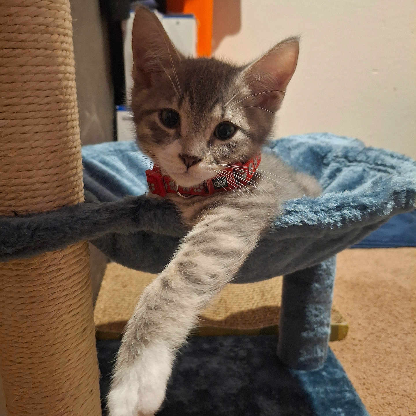 Sterling