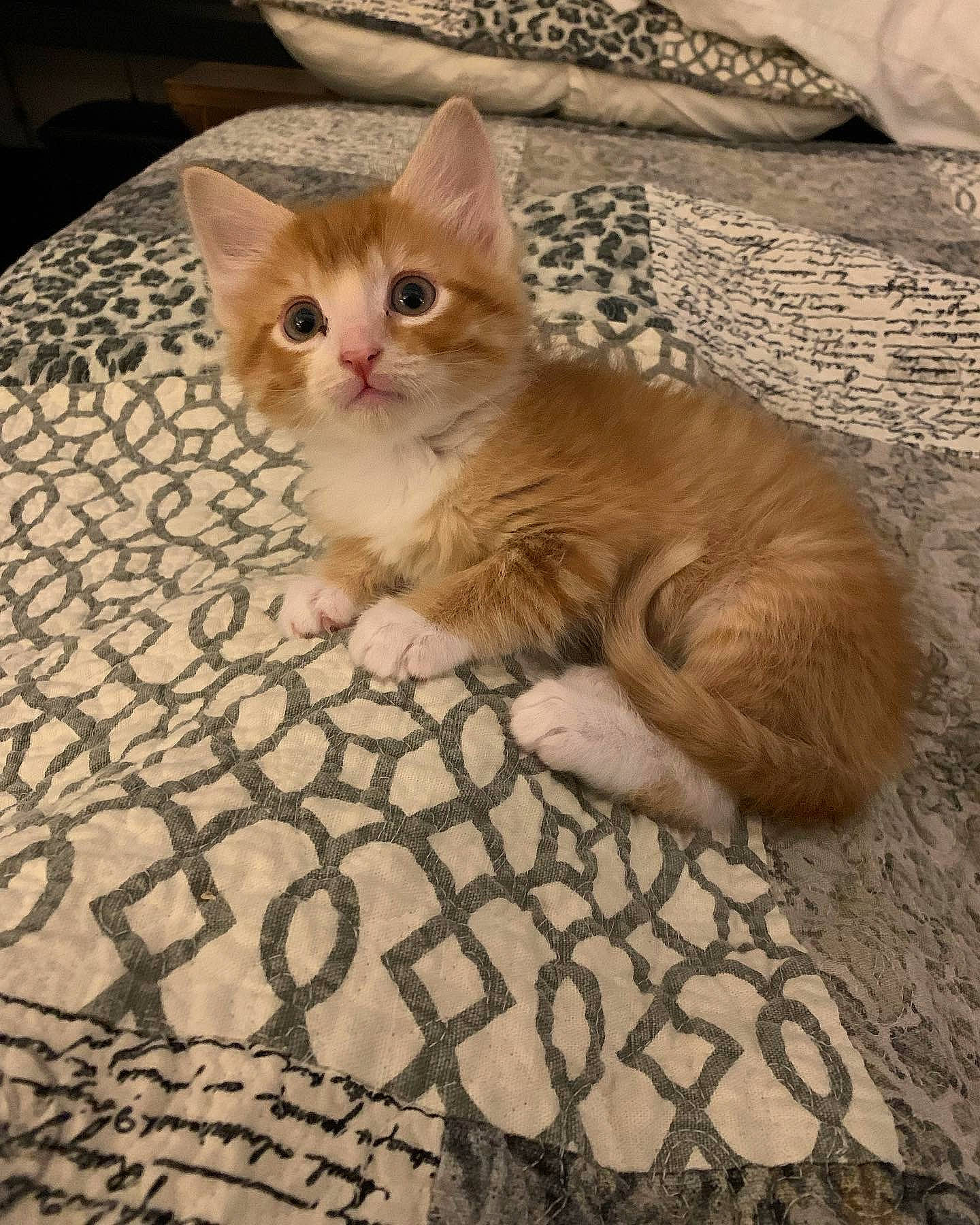 Twinkie