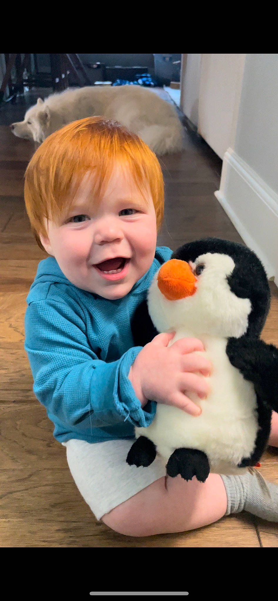 Bryant is registered to the contest to win money with this photo: baby, baby_toddler_clothing, cheek, child, comfort, fun, fur, happy, head, nose, person, play, plush, sitting, sleeve, smile, stuffed_toy, toddler, toy, white