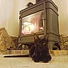 Myrtille a rejoint le concours — aidez-le/la à gagner de superbes lots ! black_cat, cat, wood_stove, fireplace, fire, indoor, floor, stone_wall, tile_floor, cozy, warm, pet, animal, resting, relaxing, feline, home_interior, heating_appliance, glowing, domestic