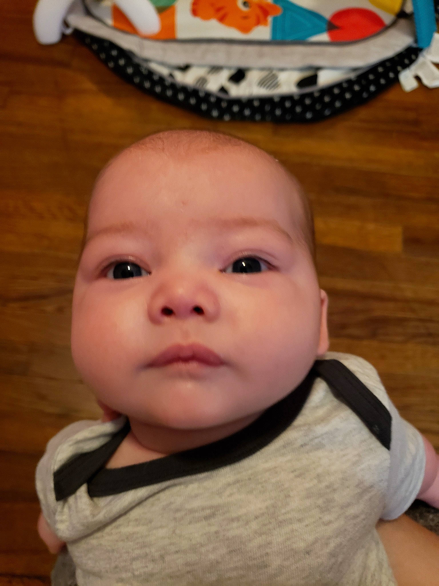 Maxon joined the competition — help win amazing prizes! baby, cheek, child, chin, face, head, lip, mouth, nose, person, skin, smile, toddler