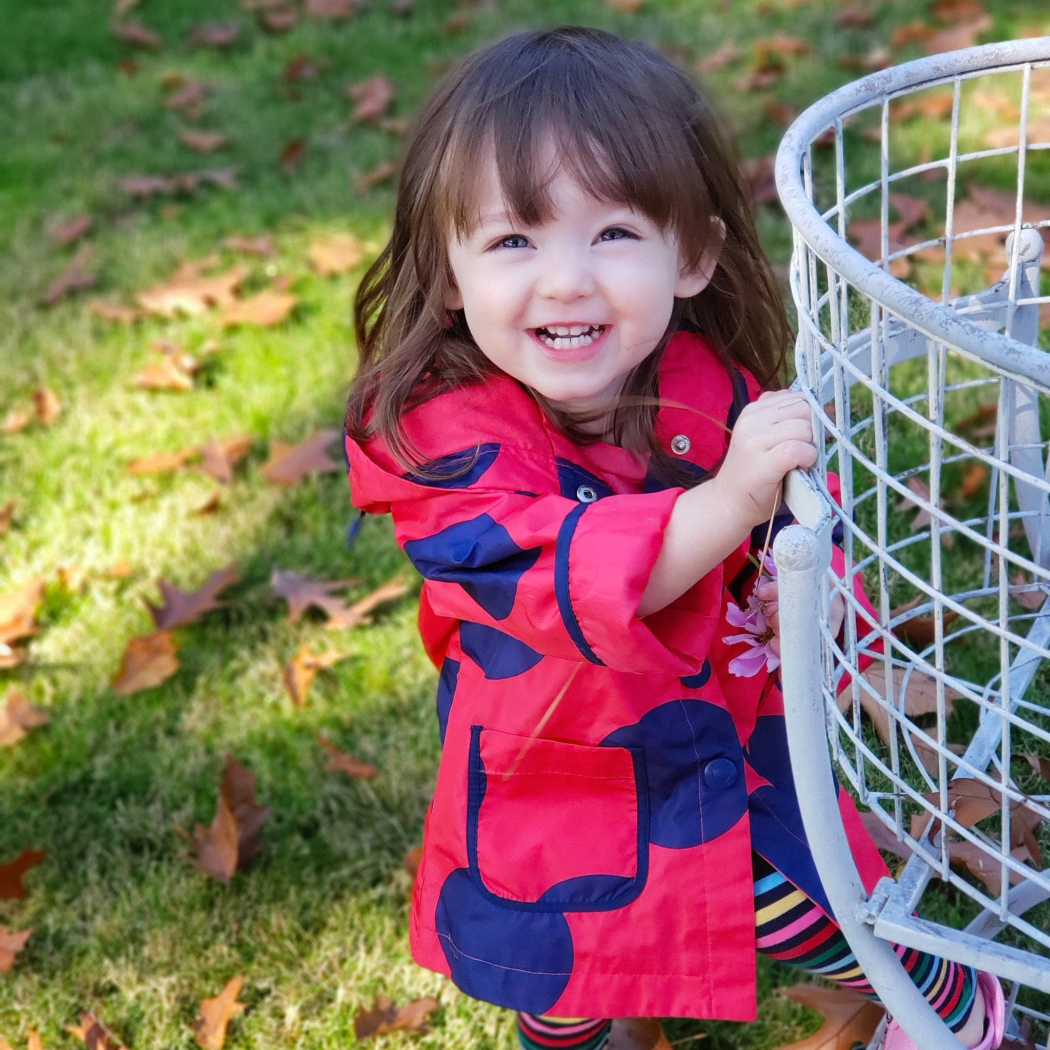 Navie joined the competition — help win amazing prizes! child, child_model, dress, face, fun, grass, happy, joy, leaf, leisure, net, outerwear, pattern, people, person, plant, play, smile, spring, summer