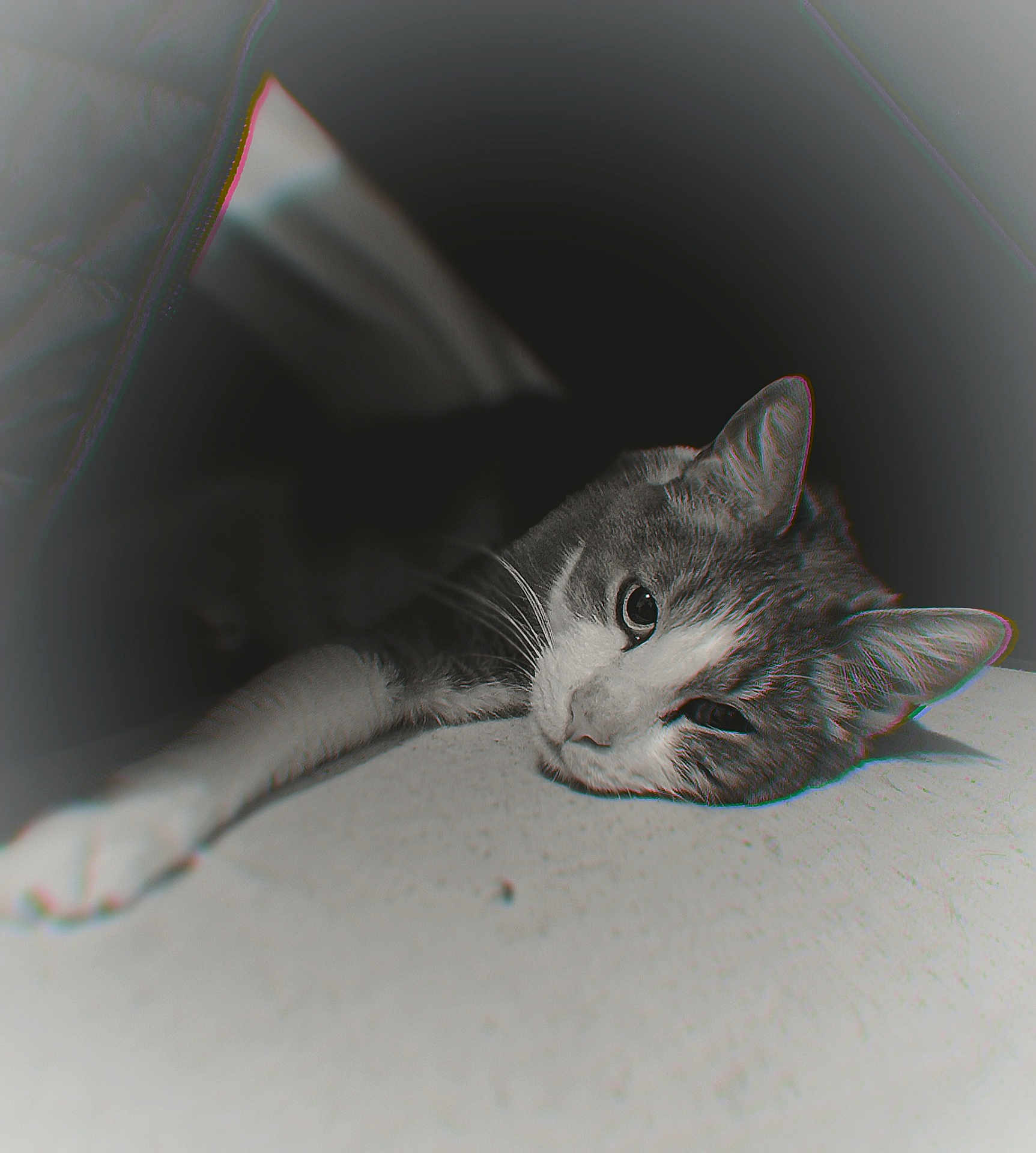 Ricky