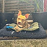 dog, pet, animal, outdoor, bed, blanket, toy, plant, pot, wooden_fence, collar, tan, fur, ears, face, resting, relaxed, sunlight, concrete, nature