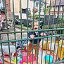 Arthur a rejoint le concours — aidez-le/la à gagner de superbes lots ! child, toddler, smiling, outdoor, garden, toys, dog, blanket, metal_bars, fence, pillow, chair, table, plant, building, window, person, happy, footwearless, pet