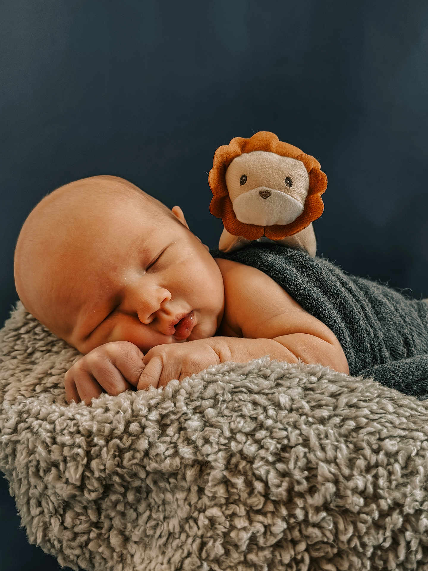 Remy is registered to the contest to win money with this photo: baby, sleeping, plush_lion, blanket, soft_texture, infant, peaceful, cute, child, portrait, close_up, resting, cozy, wrapped, fuzzy, skin, hand, head, background, blue