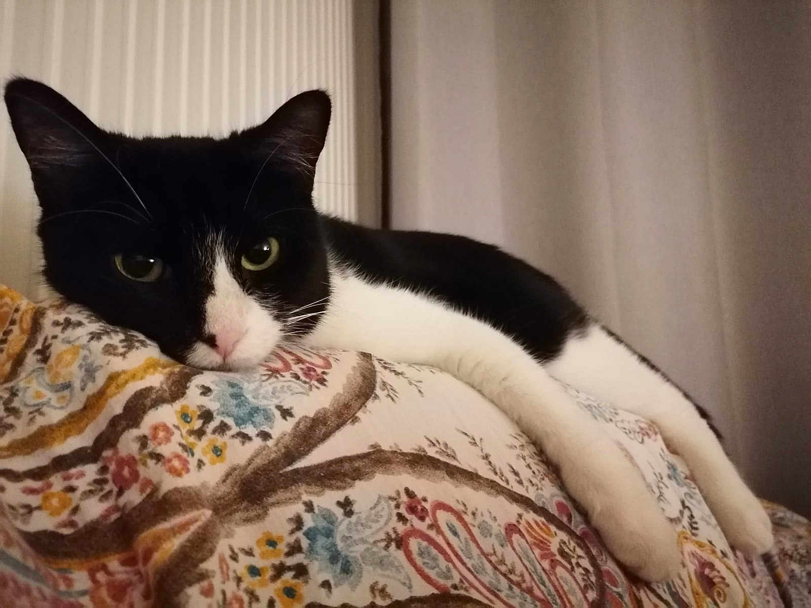 Nella
