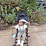 toddler, child, stroller, sidewalk, greenery, bushes, urban, outdoor, hat, white_shoes, playful, curious, car, pavement, clothing, safety_harness, person, baby_toys, daylight, casual