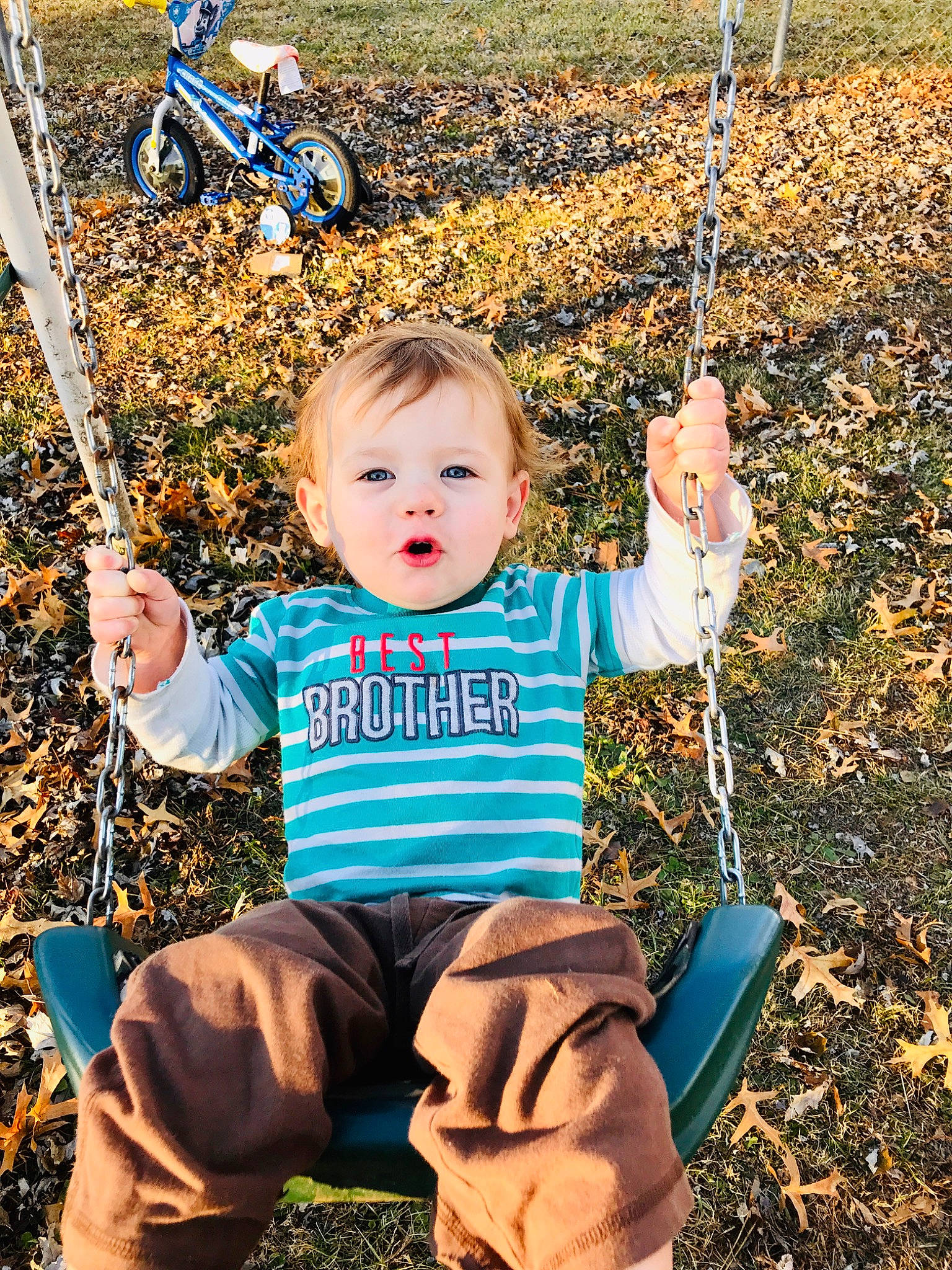 Kai joined the competition — help win amazing prizes! autumn, child, fun, happy, leaf, outdoor_play_equipment, person, plant, play, playground, smile, soil, swing, toddler, tree