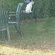 Isis participe au concours pour gagner de l'argent avec cette photo : chair, darkness, event, furniture, garden, grass, grassland, landscape, lawn, leisure, outdoor_furniture, people_in_nature, road_surface, shadow, shrub, sitting, soil, tints_and_shades, wildlife, wood