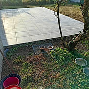 Isis a rejoint le concours — aidez-le/la à gagner de superbes lots ! asphalt, circle, concrete, flagstone, garden, gas, grass, groundcover, landscape, landscaping, lawn, metal, plant, property, road_surface, shrub, soil, tree, walkway, yard