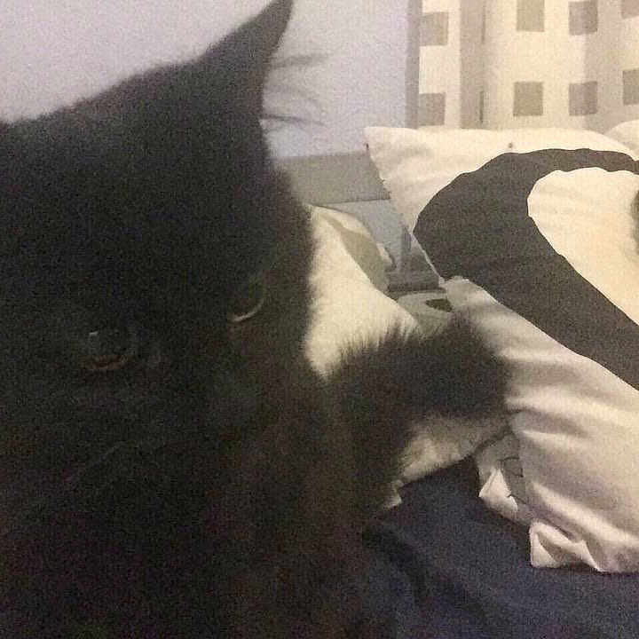 Sooty
