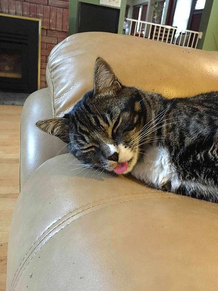 Oreo