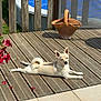 dog, wooden_deck, sunlight, flower, terracotta_pot, pool, fence, outdoor, pet, relaxing, summer, sunbathing, canine, garden, nature, daylight, animal, leisure, backyard, resting