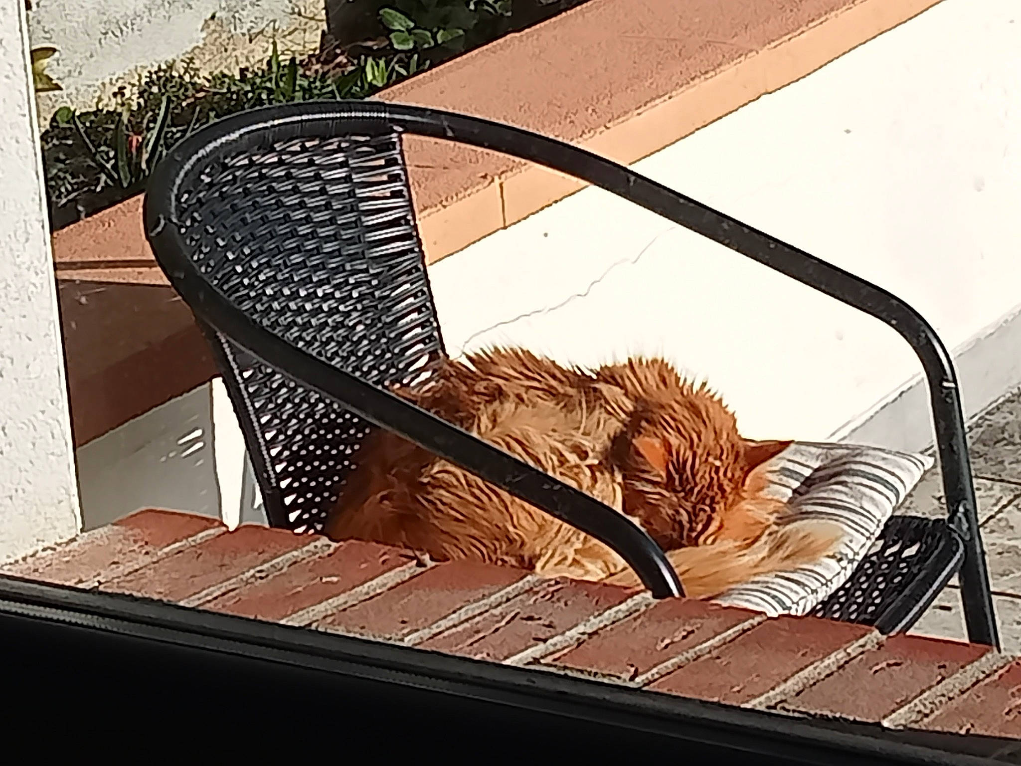 Mickey participe au concours pour gagner de l'argent avec cette photo : art, automotive_design, automotive_exterior, automotive_lighting, bumper, door, glass, hood, metal, motor_vehicle, rectangle, shade, stairs, tints_and_shades, vehicle_door, visual_arts, window, windscreen_wiper, windshield, wood