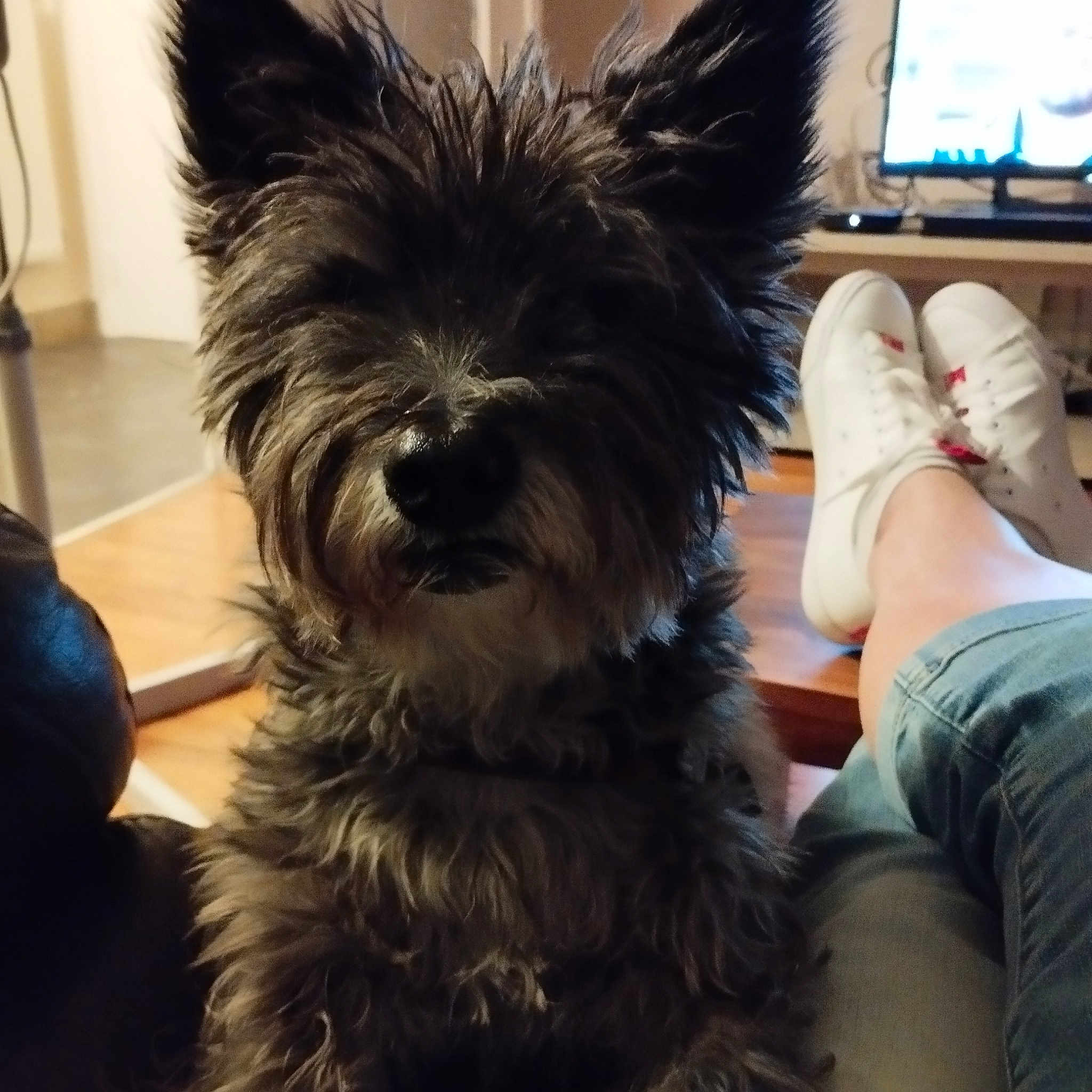 Elliot