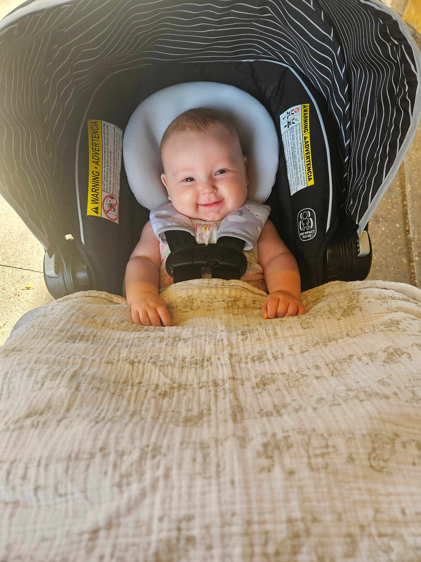 Penelope