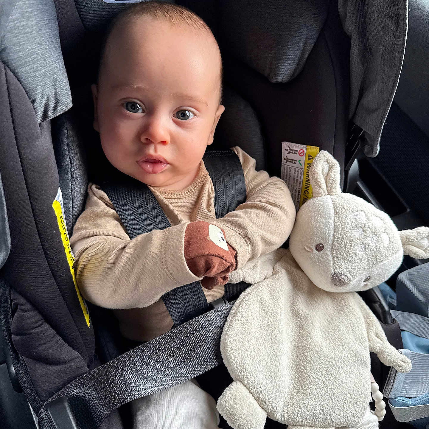 Xeno joined the competition — help win amazing prizes! accessories, baby, belt, bodypart, car, car_interior, carseat, cushion, face, finger, hand, head, homedecor, person, photography, portrait, teddybear, toy, transportation, vehicle