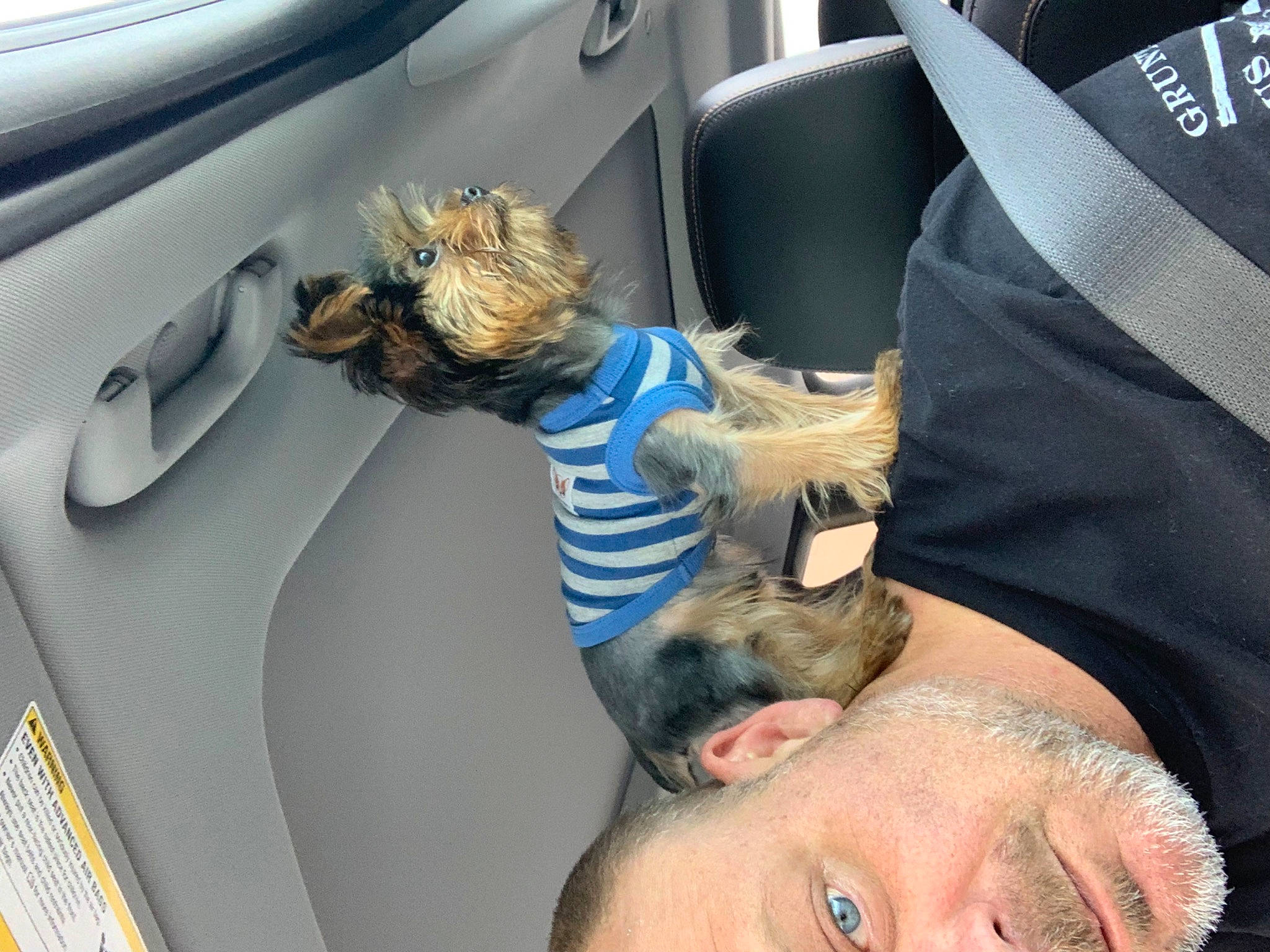 Bentley is registered to the contest to win money with this photo: auto_part, automotive_design, automotive_exterior, beard, buzz_cut, car_seat, car_seat_cover, comfort, eyelash, family_car, luxury_vehicle, motor_vehicle, vehicle, vehicle_door, wrinkle