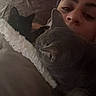 Maevis is registered to the contest to win money with this photo: person, cat, gray_cat, black_cat, bed, blanket, indoor, cozy, sleepy, resting, close_up, portrait, fur, animal, pet, relaxing, soft_lighting, home, cuddle, face