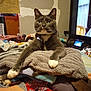 cat, gray_cat, white_paws, blanket, towel, indoor, pet, feline, animal, cozy, resting, stretching, living_room, television, household_items, curious, green_eyes, domestic_cat, relaxed, fur