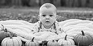 Kaylee joined the competition — help win amazing prizes! baby, blanket, pumpkin, autumn, leaves, forest, outdoor, infant, fall, nature, cute, portrait, season, child, ground, cozy, black_and_white, curious, small_pumpkin, wide_eyes