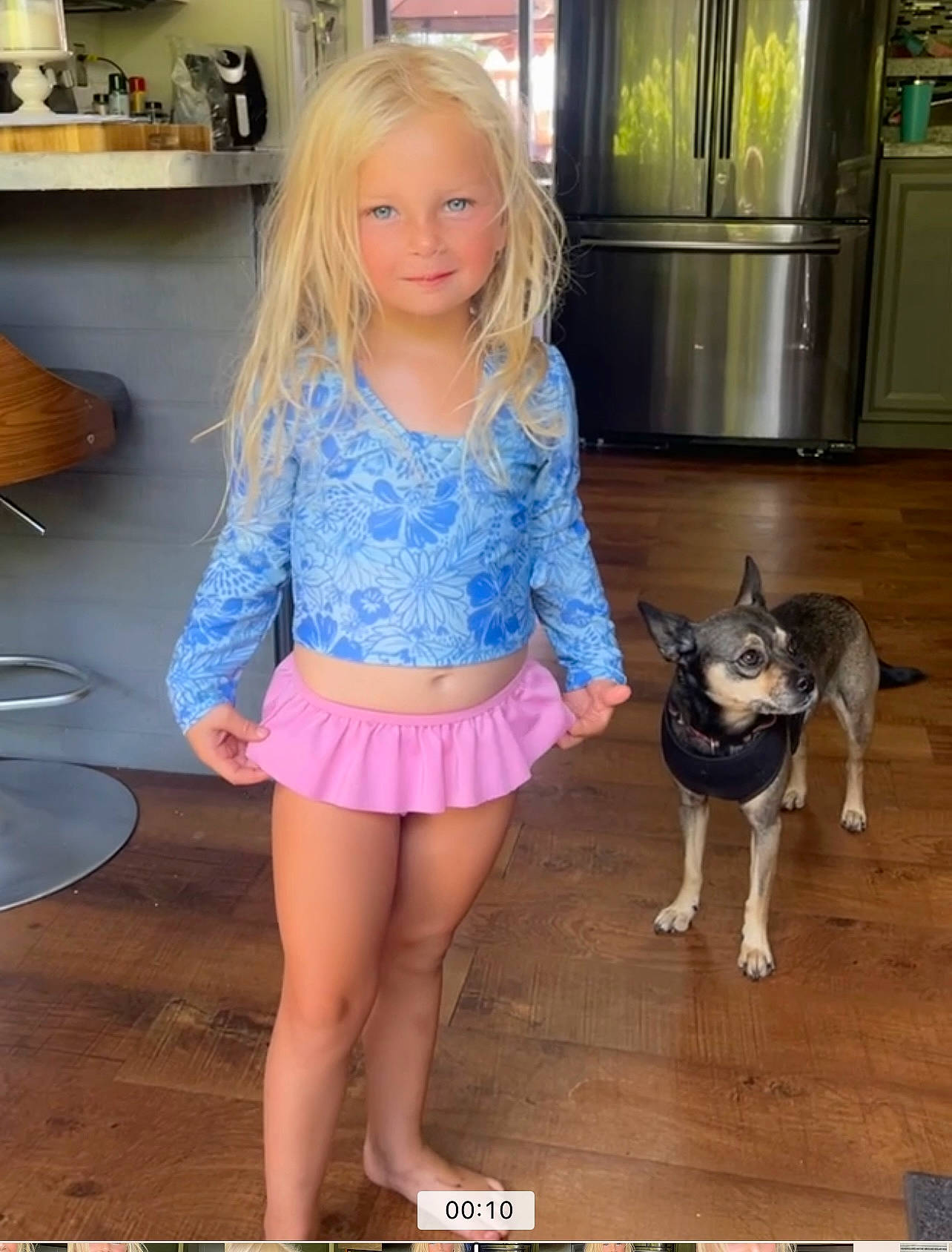 Autumn joined the competition — help win amazing prizes! blond, carnivore, companion_dog, dog, dog_breed, electric_blue, fawn, floor, flooring, hair, human_leg, joint, leg, organ, person, pink, shelf, smile, thigh, toy_dog