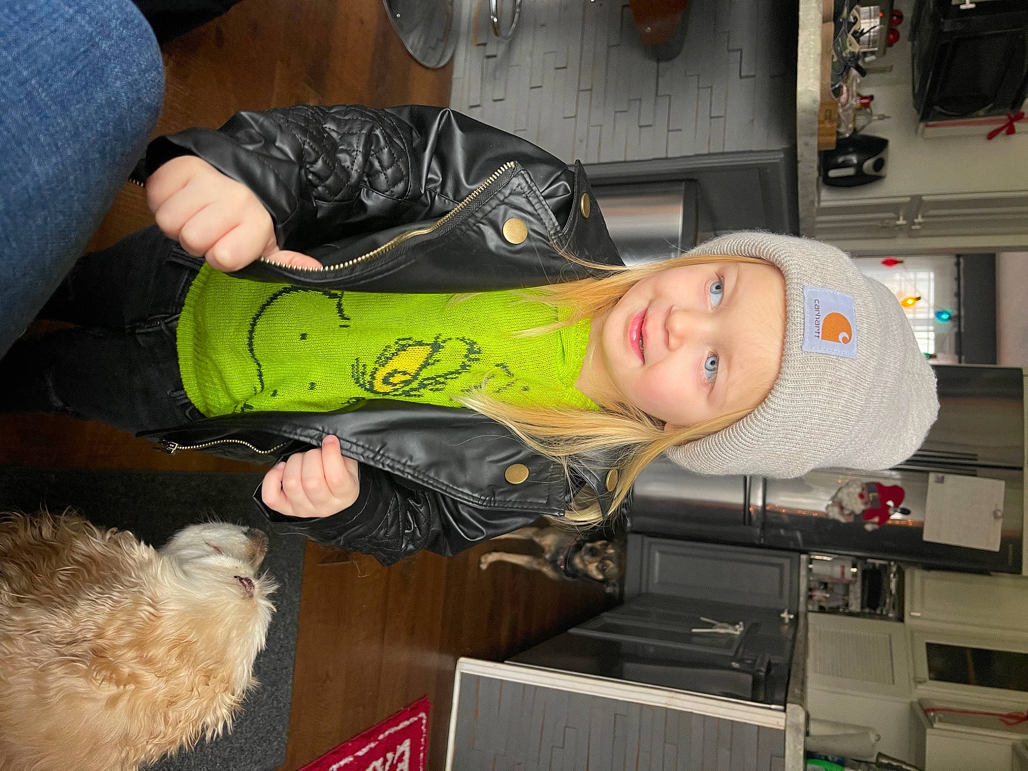 Autumn joined the competition — help win amazing prizes! canidae, carnivore, companion_dog, digital_video_recorder, dog, dog_breed, fun, fur, headwear, joy, machine, person, personal_protective_equipment, room, smile, toy