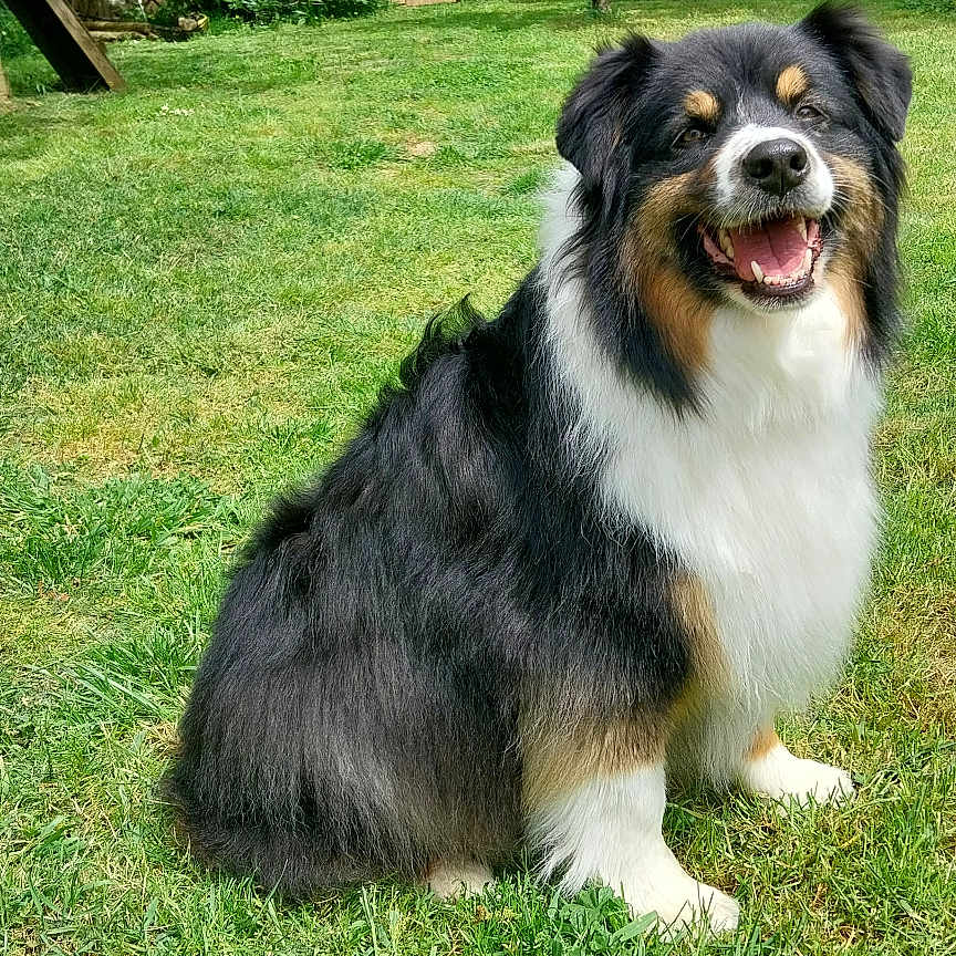 Ruby Love