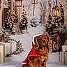 dog, christmas, holiday, festive, snow, lantern, gift, tree, decorations, red_clothing, cape, winter, potted_plant, pinecone, cute, pet, seasonal, celebration, background, outdoor