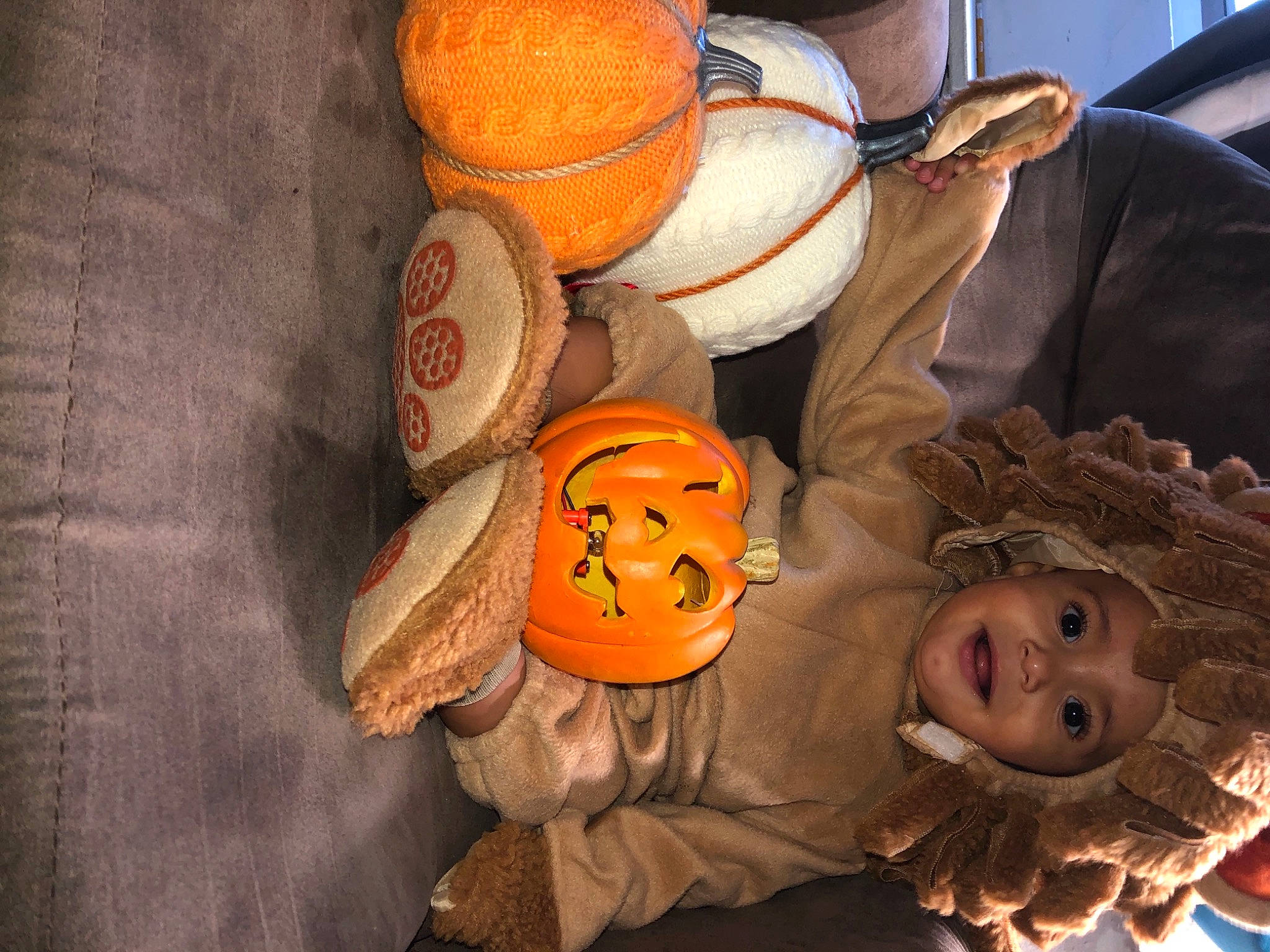 Phillip is registered to the contest to win money with this photo: _and_melon_family, _gourd, calabaza, costume_accessory, craft, creative_arts, cucumber, cucurbita, gourd, headwear, jack_o_lantern, joy, nose, orange, peach, person, produce, pumpkin, squash, thread