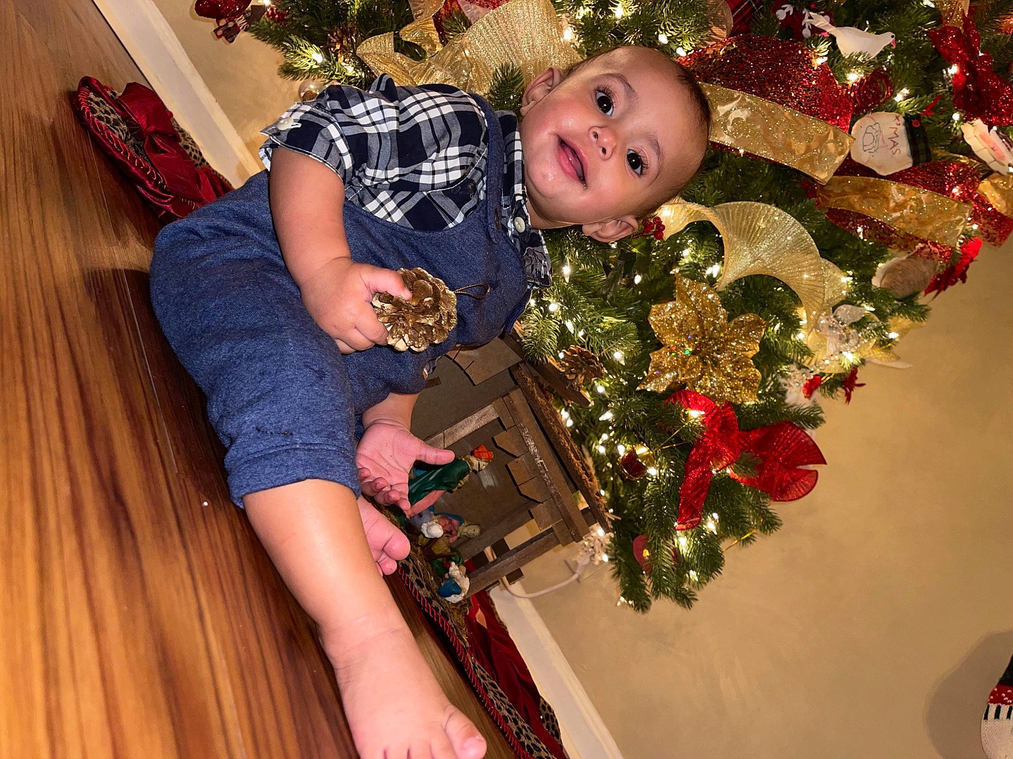 Phillip joined the competition — help win amazing prizes! christmas, christmas_decoration, christmas_eve, christmas_lights, christmas_ornament, christmas_tree, conifer, event, foot, holiday, holiday_ornament, human, human_leg, interior_design, lap, ornament, person, pine_family, thigh, toe