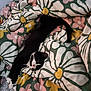 Kenzo joined the competition — help win amazing prizes! cat, black_and_white, stretching, blanket, floral_pattern, bed, pet, indoor, comfort, relaxation, animal, cute, feline, whiskers, paw, tail, cozy, soft, domestic, sleepy