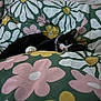 cat, black_and_white_cat, bed, blanket, floral_pattern, pink_flowers, yellow_flowers, green_background, resting, indoor, pet, feline, cozy, comfort, sleepy, cute, animal, paw, whiskers, relaxed