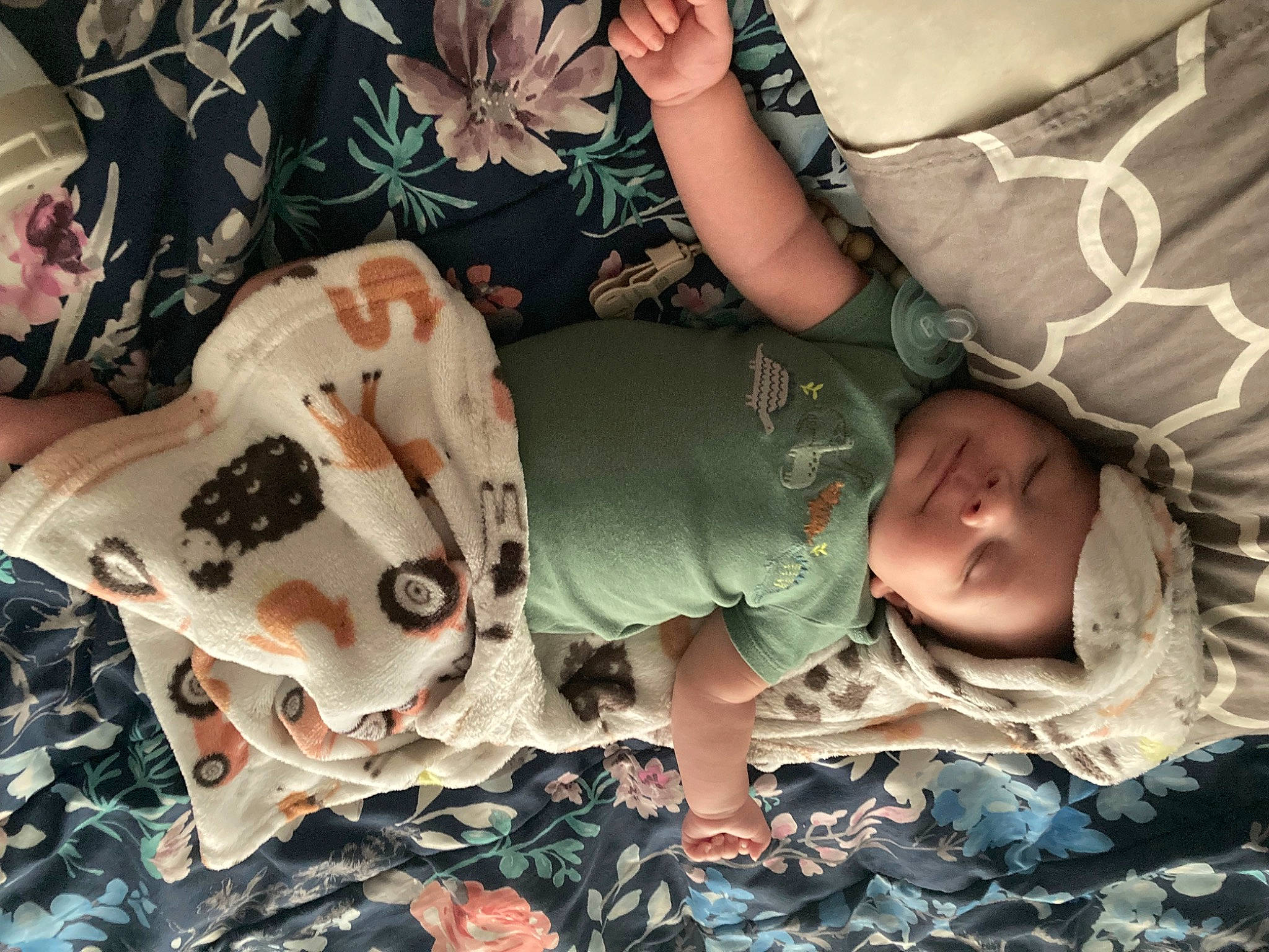 Kenai joined the competition — help win amazing prizes! baby, baby_toddler_clothing, child, comfort, gesture, grass, happy, headwear, human_leg, linens, mammal, pattern, person, room, sitting, sleeve, t_shirt, textile, thigh, toddler