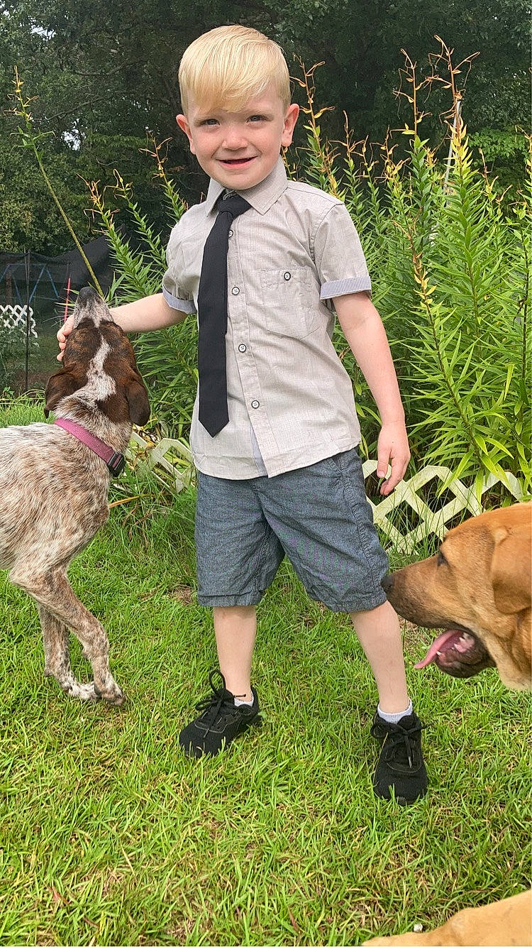 Lincoln joined the competition — help win amazing prizes! carnivore, collar, companion_dog, dog, dog_breed, fawn, footwear, grass, green, groundcover, happy, joy, lawn, leash, people_in_nature, person, plant, shorts, smile, sporting_group