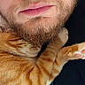 close_up, man, beard, face, cat, orange_cat, tabby_cat, paw, sleeping_cat, snuggling, affection, cute, pet, human, skin, fur, whiskers, nostrils, mouth, relaxation