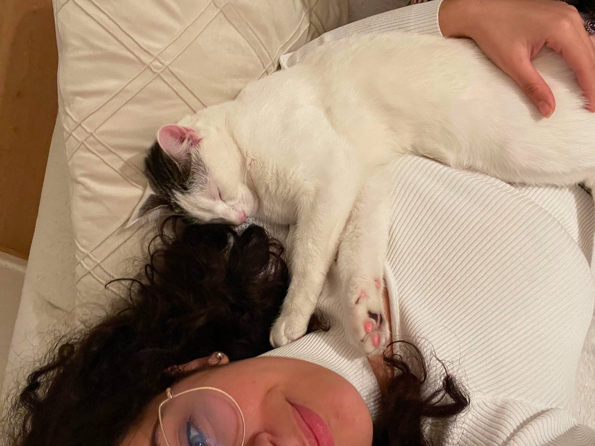 Tilou a rejoint le concours — aidez-le/la à gagner de superbes lots ! beard, carnivore, cat, comfort, ear, eyelash, fawn, felidae, finger, gesture, hand, happy, jaw, nail, nose, skin, small_to_medium_sized_cats, snout, sunglasses, whiskers