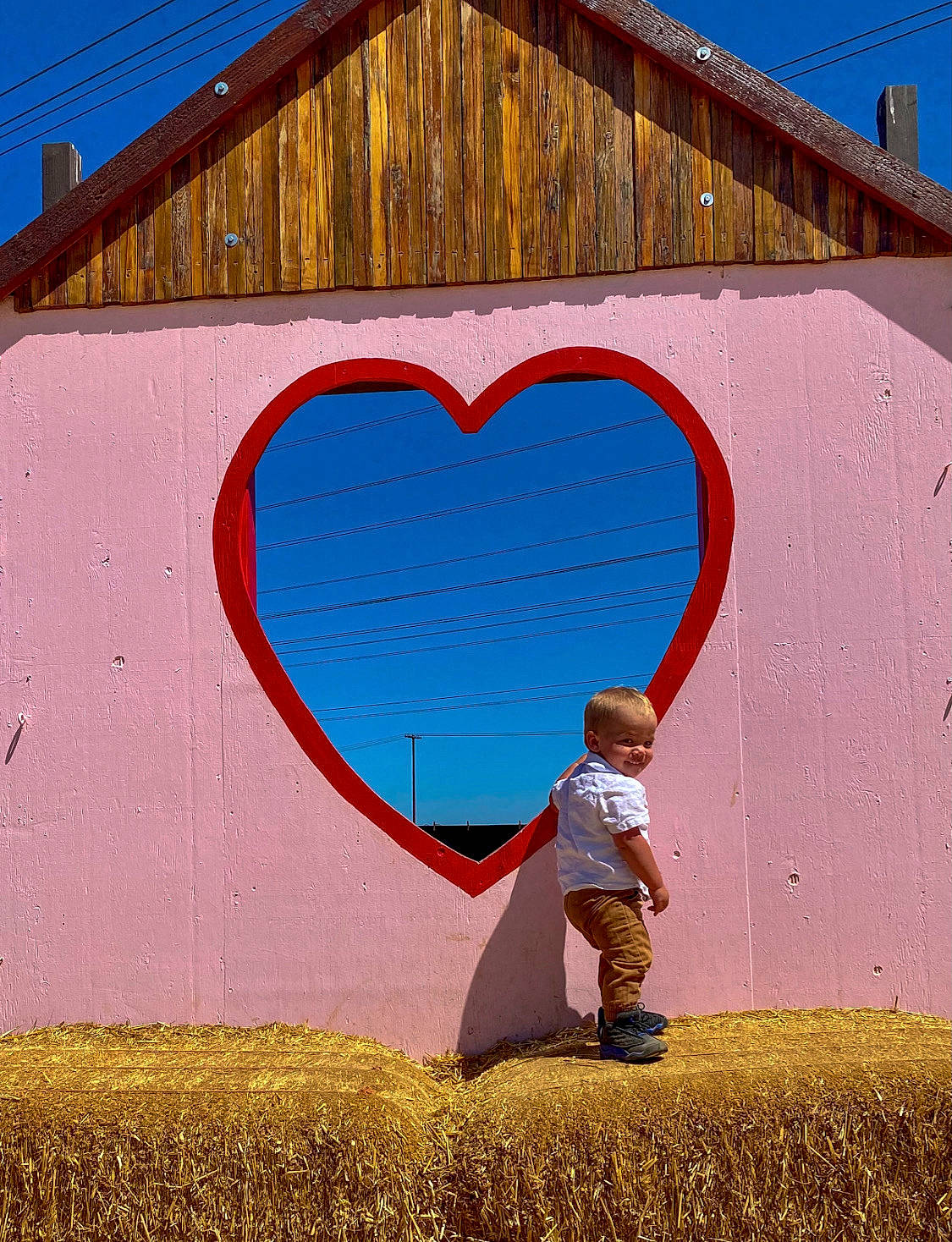 Titus is registered to the contest to win money with this photo: art, azure, font, grass, happy, landscape, light, line, paint, people_in_nature, person, photograph, rectangle, red, rural_area, sky, summer, tree, wall, white