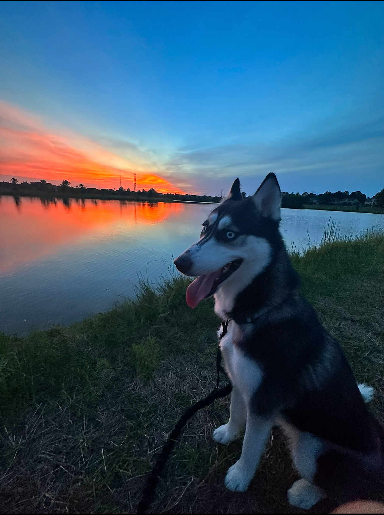 Luna