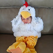 Silas is registered to the contest to win money with this photo: apparel, baby, chicken, child, costume, couch, cute, expression, face, fluffy, funny, indoors, leather, orange, person, sitting, small, soft, white, yellow